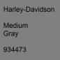 Preview: Harley-Davidson, Medium Gray, 934473.